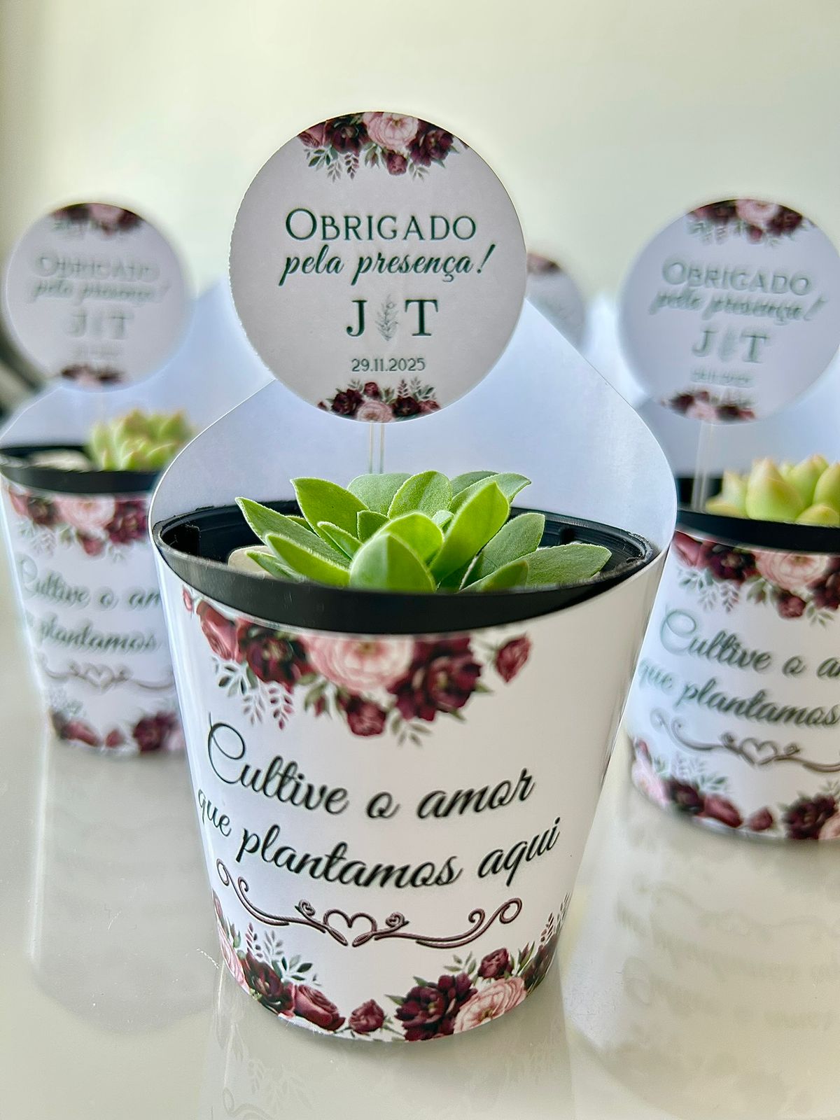 Suculenta Personalizada