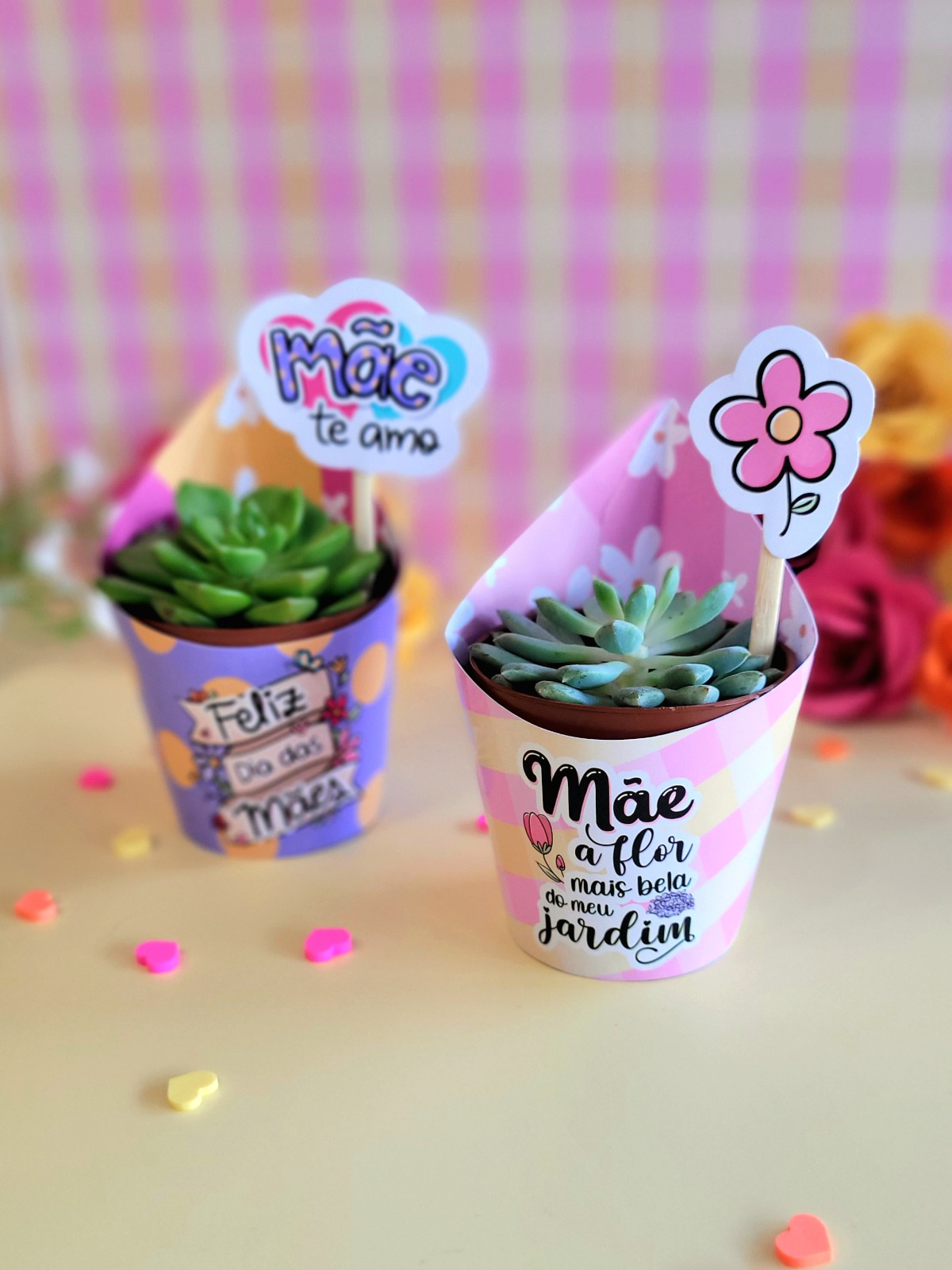 Mini suculenta - Dia das Mães