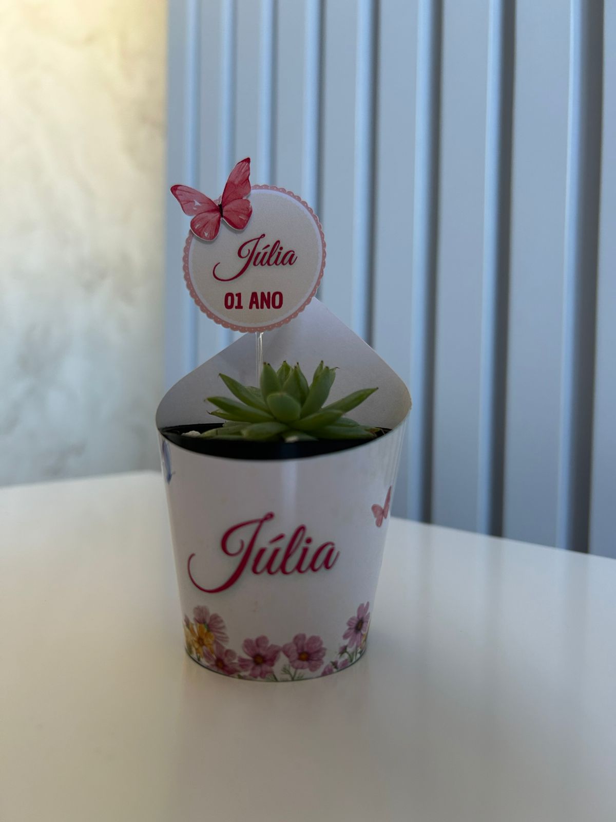 Suculenta Personalizada 